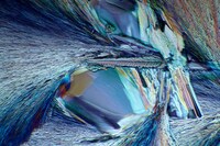 Microscopic Object Photography Image 6