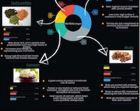 Meatless Protein Infographics Image 2