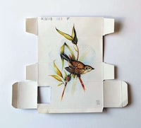 Broken Box Bird Paintings Image 2