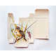 Broken Box Bird Paintings Image 3