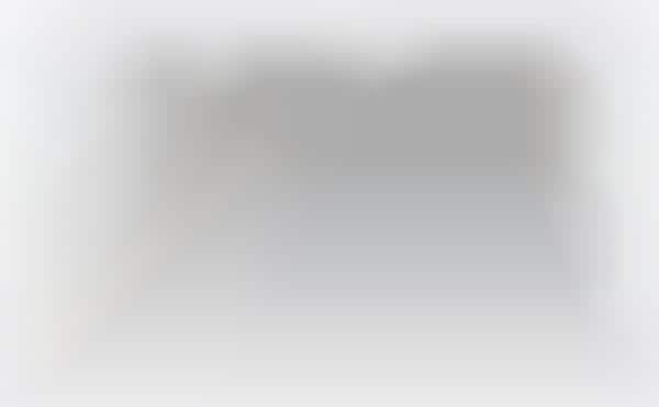 Blocked Aluminum Cameras