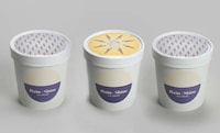 Weathery Ice Cream Branding Image 2
