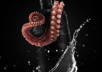 Tentacled Pirate Packaging Image 5
