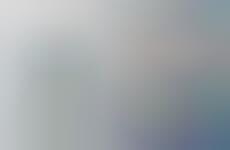 Printed Photographic Fashion