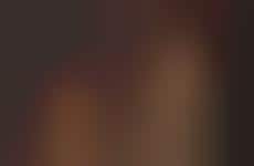 Metallic Gold Lookbooks