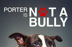 Anti-Bullying Canine Campaigns