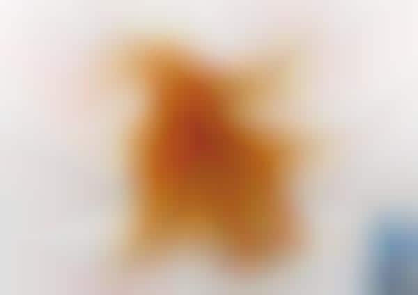 Messy Spaghetti Dog Ads