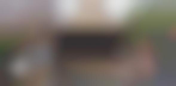 Motion Sensing Lamb Spits