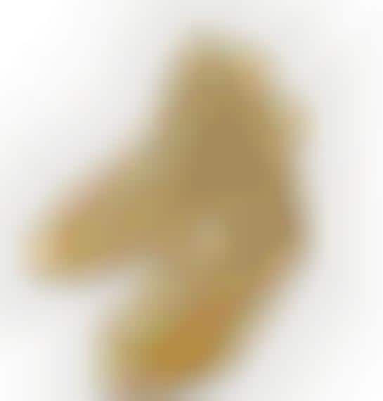 Golden Grecian Shoes