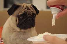 Comical Canine Food Critics