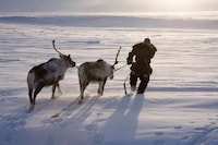 Isolated Arctic Photos Image 3