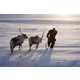 Isolated Arctic Photos Image 3