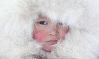 Isolated Arctic Photos Image 5