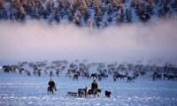 Isolated Arctic Photos Image 6
