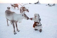 Isolated Arctic Photos Image 7