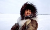 Isolated Arctic Photos Image 8