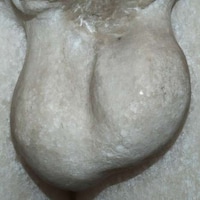 Statue Testicle Photography Image 8