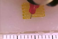 3D Tumor-Testing Technology Image 3