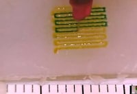 3D Tumor-Testing Technology Image 4