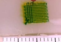 3D Tumor-Testing Technology Image 6