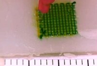 3D Tumor-Testing Technology Image 7