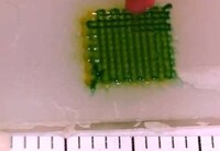 3D Tumor-Testing Technology Image 8