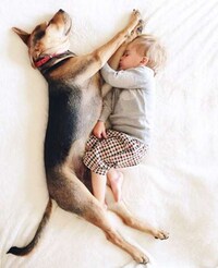 BFF Napping Photography (UPDATE) Image 3