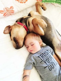 BFF Napping Photography (UPDATE) Image 5