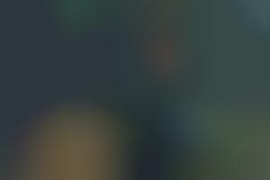 Nomadic Woodland Editorials : jenna roberts