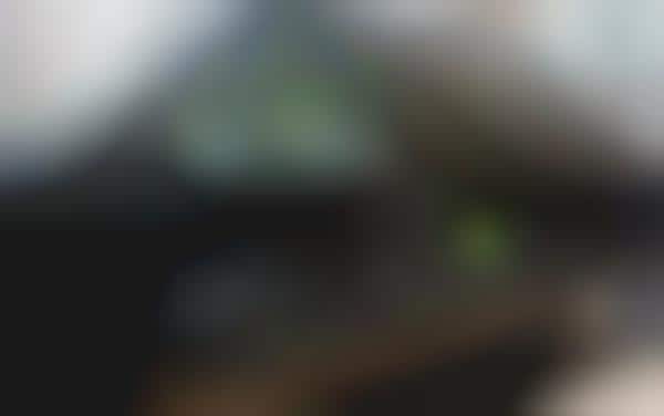 Slow-Driving Taxi Services