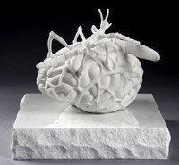 Cerebral Marble Sculptures Image 2