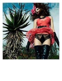 Floral Polaroid Editorials Image 2