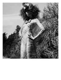 Floral Polaroid Editorials Image 3