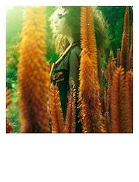 Floral Polaroid Editorials Image 8
