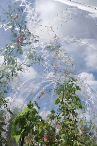 Bubble Garden Houses Image 6