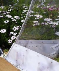 Bubble Garden Houses Image 7
