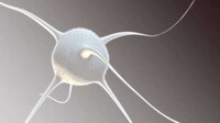 Disease-Battling Video Games Image 7