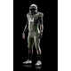 Military-Honoring Football Uniforms Image 3