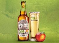 Nature-Driven Cider Branding Image 3