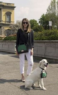 Bespoke Pet Purses Image 4