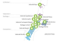 Ethical Vino Companies Image 6