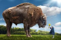 Familial Fantasy Photography Image 3