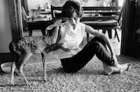 Odd Celebrity Pets Image 2