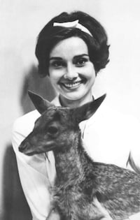 Odd Celebrity Pets Image 4