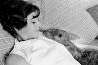 Odd Celebrity Pets Image 8