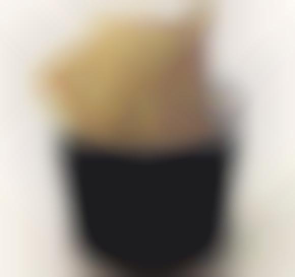Baked Ice Cream Desserts