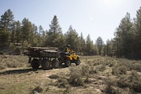 Brutishly Powerful ATVs Image 5