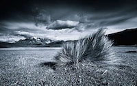 Monochromatic Mountain Photography Image 6
