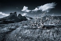 Monochromatic Mountain Photography Image 8