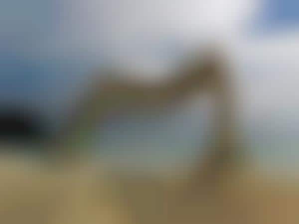 Abstract Beach Art